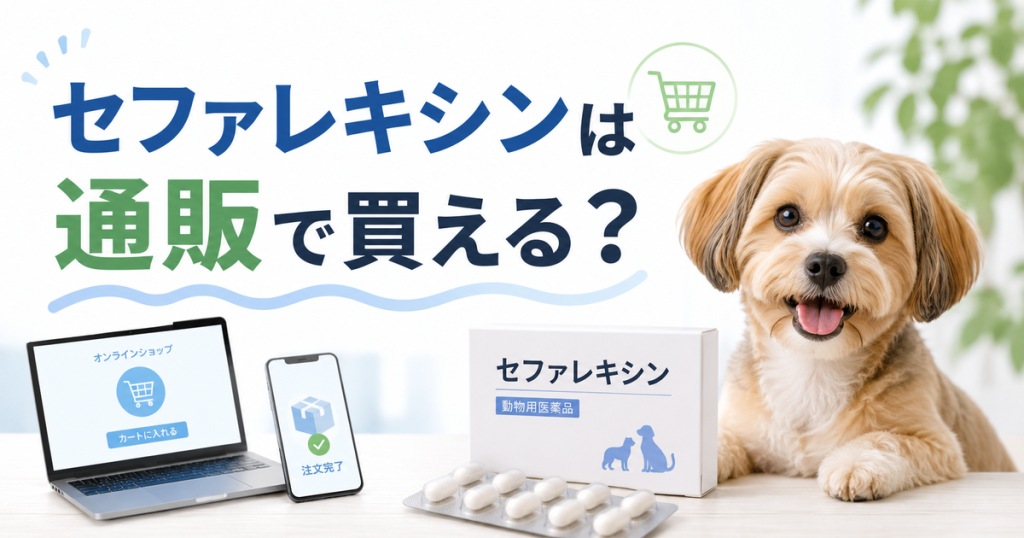 セファレキシンは通販で買える？