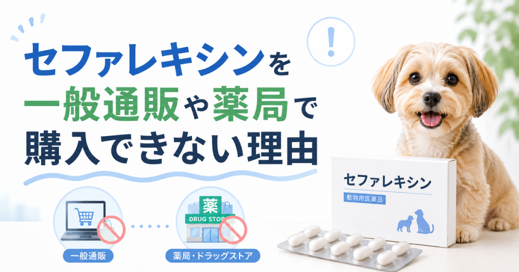 セファレキシンを一般通販や薬局で購入できない理由