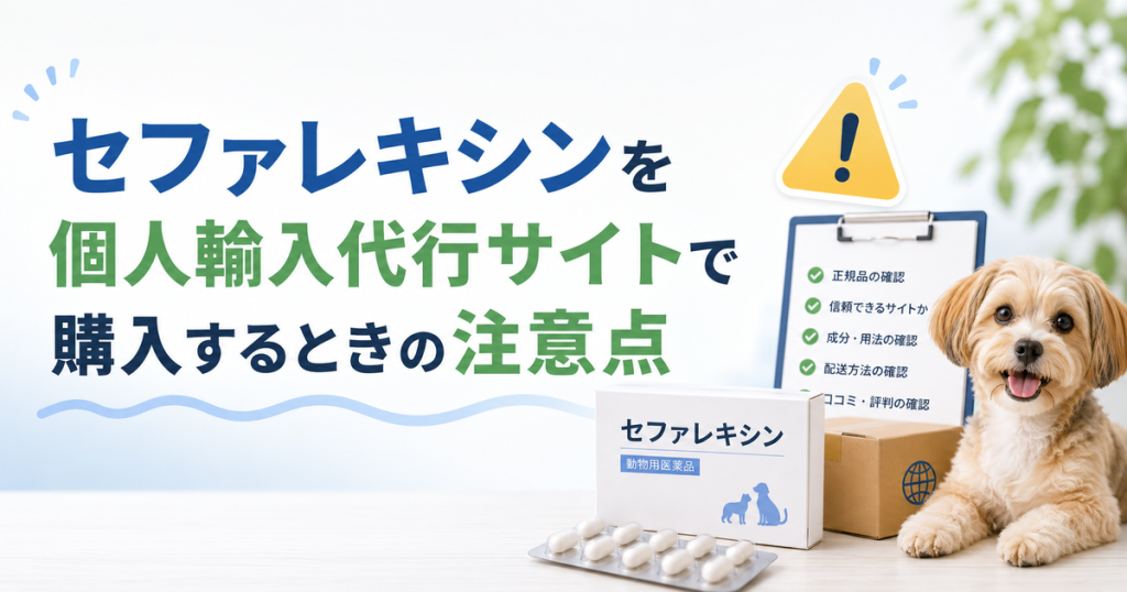 セファレキシンを個人輸入代行サイトで購入するときの注意点