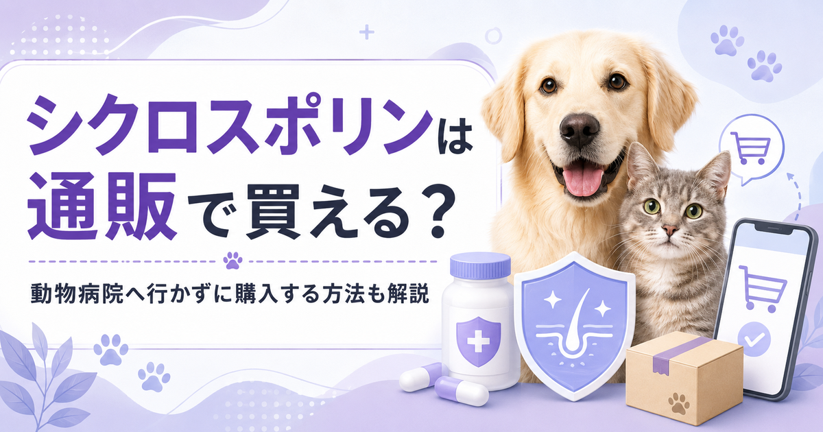 シクロスポリンは通販で買える？動物病院へ行かずに購入する方法も解説