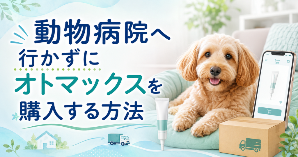 動物病院へ行かずにオトマックスを購入する方法