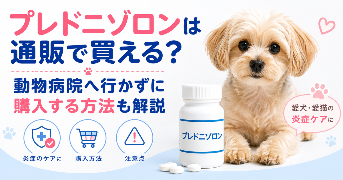 プレドニゾロンは通販で買える？動物病院へ行かずに購入する方法も解説