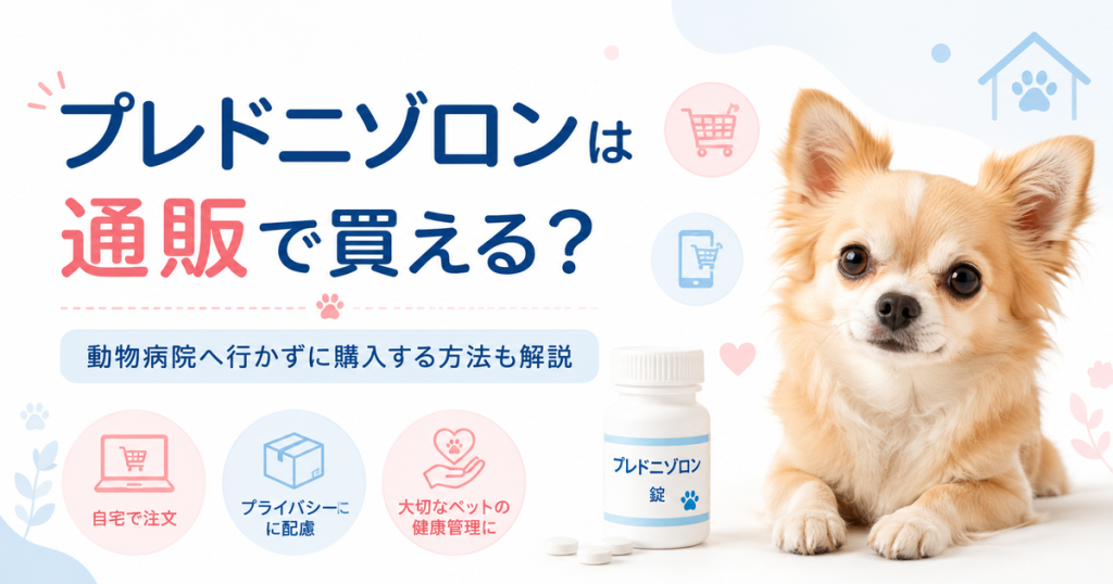 プレドニゾロンは通販で買える？