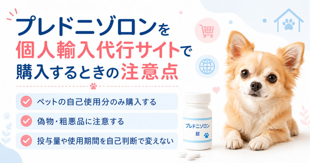 プレドニゾロンを個人輸入代行サイトで購入するときの注意点